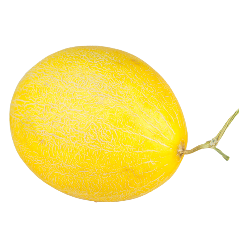 melón bio