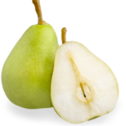 Pear 'Ercolina' (new harvest)