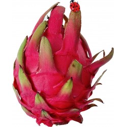 Pitaya (dragon fruit) from...
