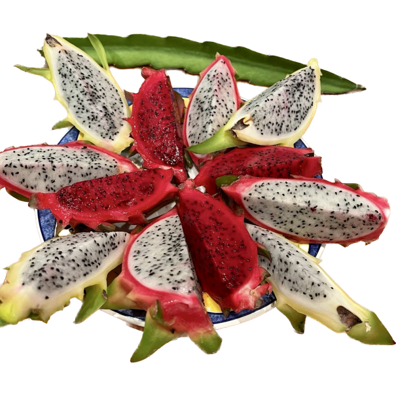 Pitaya o fruta del dragón bio