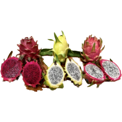 Frische [product_name]