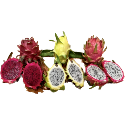 Pitaya o fruta del dragón tres colores
