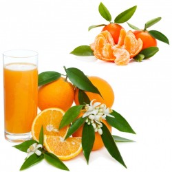 Oranges pour faire du jus,...