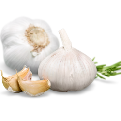 Garlic of las Pedroñeras