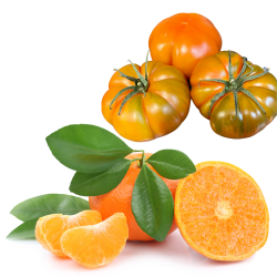 Mandarines 3 kg, Tomate...