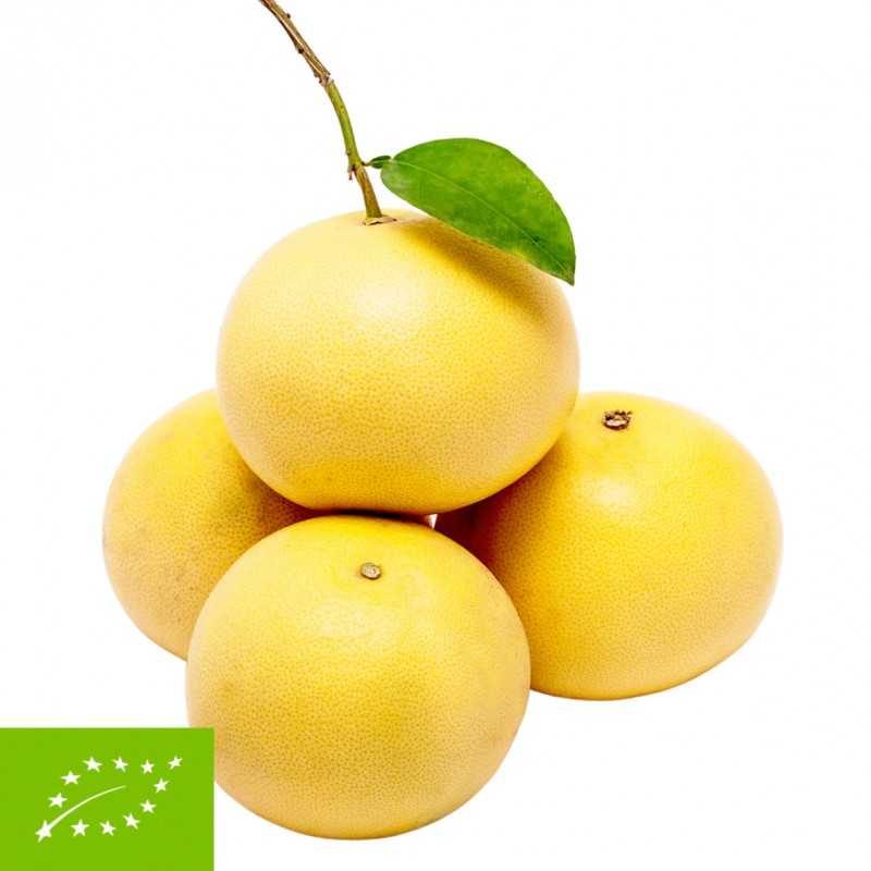 Pomelo Amarillo Bio