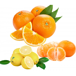 Orangen 5 kg. Mandarinen 3...