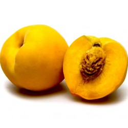 Peaches from Valencia 500 g...