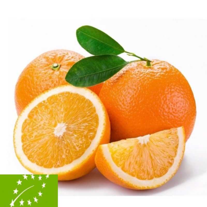 Frische [product_name]