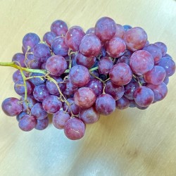 {product_name} directamente del agricultor - Quiero Naranjas
