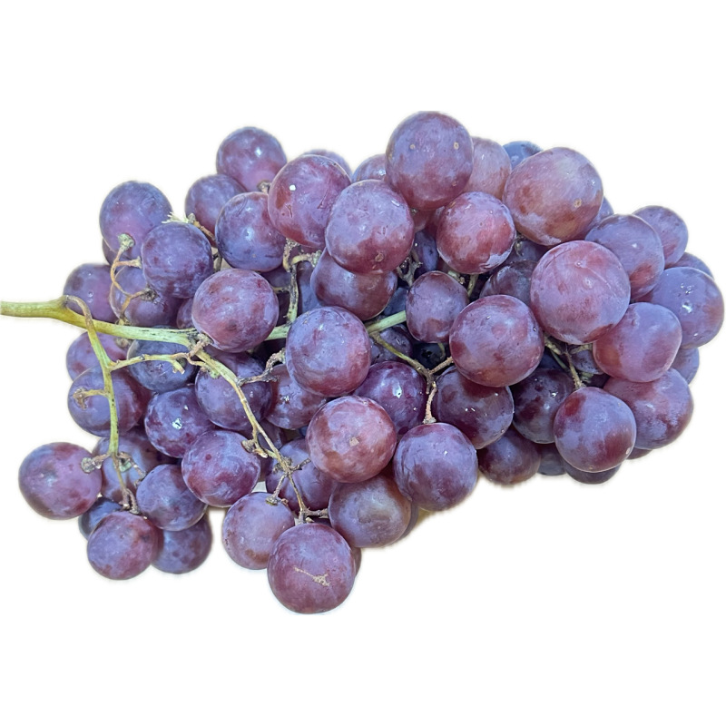 Frische [product_name]