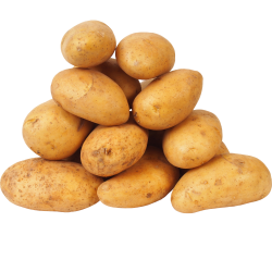 Patatas Nuevas Patatas Nuevas