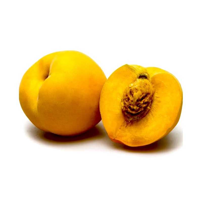 Frische [product_name]