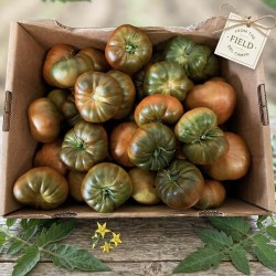[category_name] natural