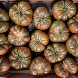 Frische [product_name]