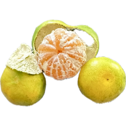 Fresh [product_name]