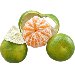 Comprar Mandarinas Ecológicas Okitsu | QuieroNaranjas