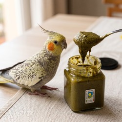 Frische [product_name]