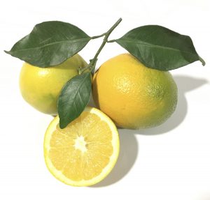 primeras naranjas.