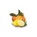 Citrons, Pamplemousse et limes bio