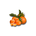 Mischkisten mit Orangen