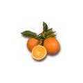 Bio-Mandarinen – Direkt vom Bauern