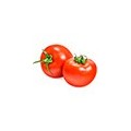 Tomates de Valence Biologique