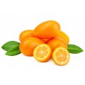 Bio-Kumquats
