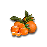 Cajas de Naranjas